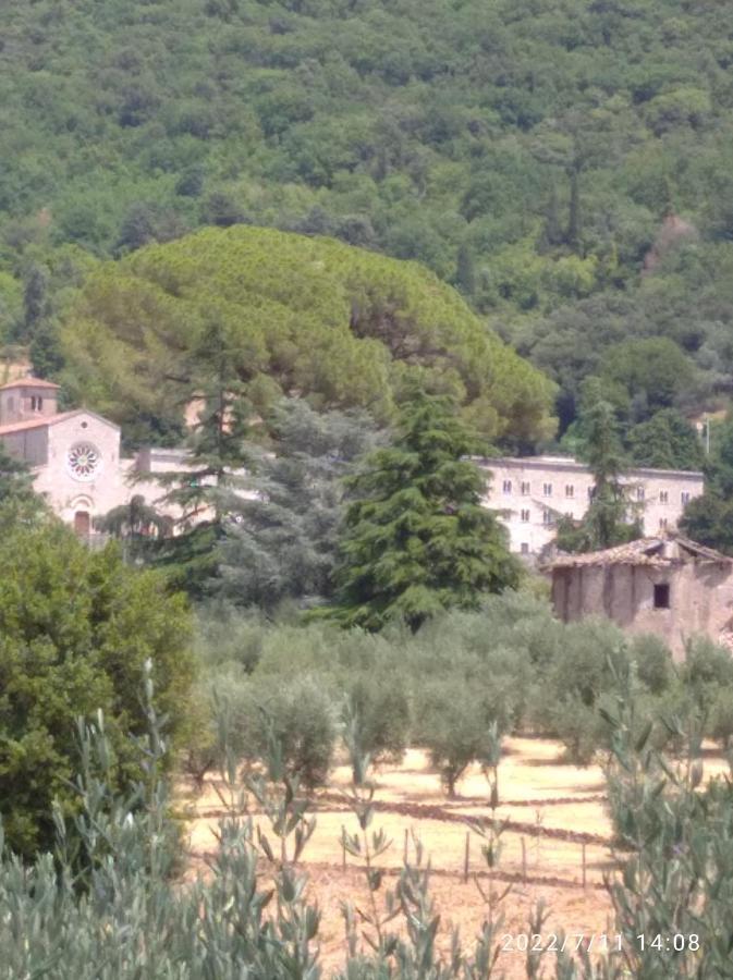 Ferienwohnung L'Oasi Di Alice Sermoneta Exterior foto